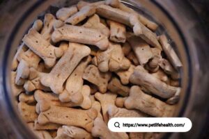Dog Meal