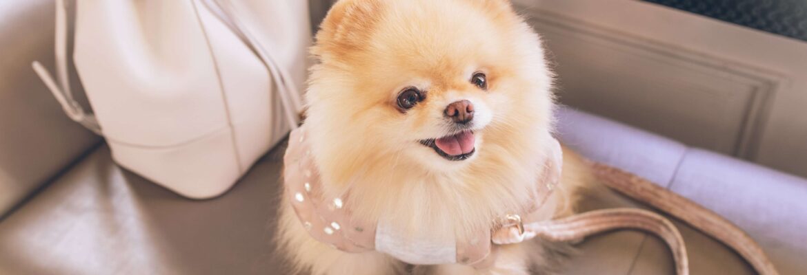 https://www.petlifehealth.com/