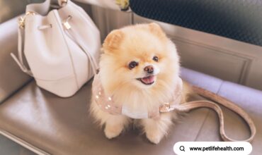 https://www.petlifehealth.com/